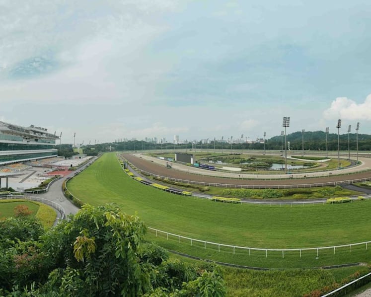 Singapore Turf Club closure: Youths’ view of horse racing as 'old man's game' among factors cited for sport’s waning support
