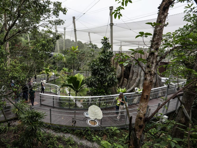 File photo of Bird Paradise — the upgraded former Jurong Bird Park — in Singapore. File photo of Bird Paradise — the upgraded former Jurong Bird Park — in Singapore.