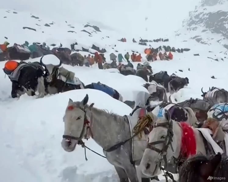 All stranded Everest hikers evacuated from remote Tibetan valley