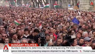 Hungary heads to polls as campaign ends
