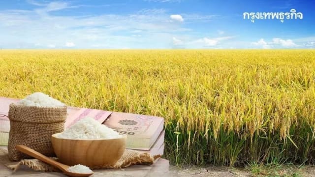 印度大米禁出口冲击全球 泰国米价飙升近三成