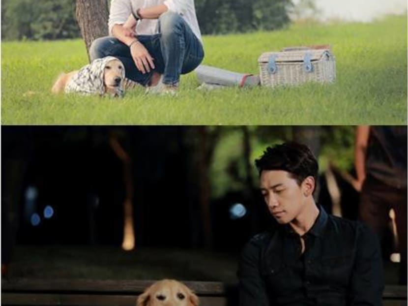 6 dogs that will never be cast as the lead in a TV show