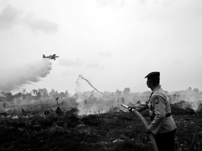 How Indonesia is stepping up fight against climate change