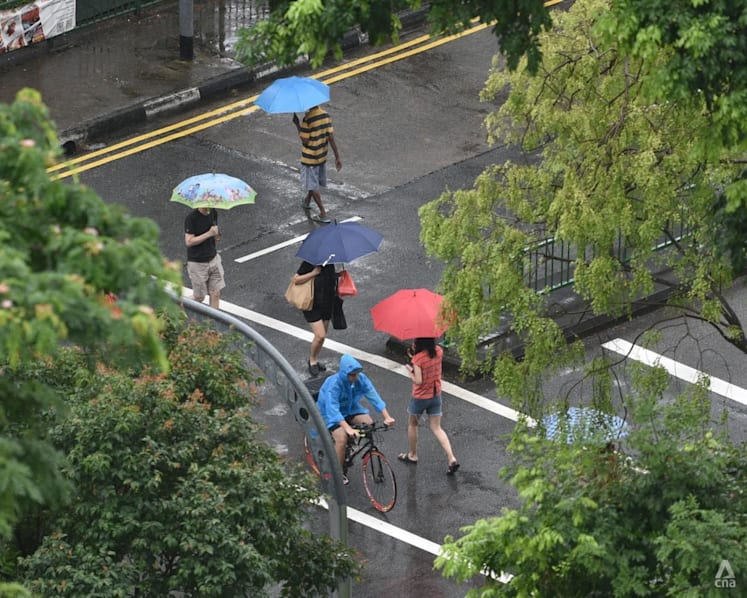 A wet 2022 for Singapore, even as temperatures soared