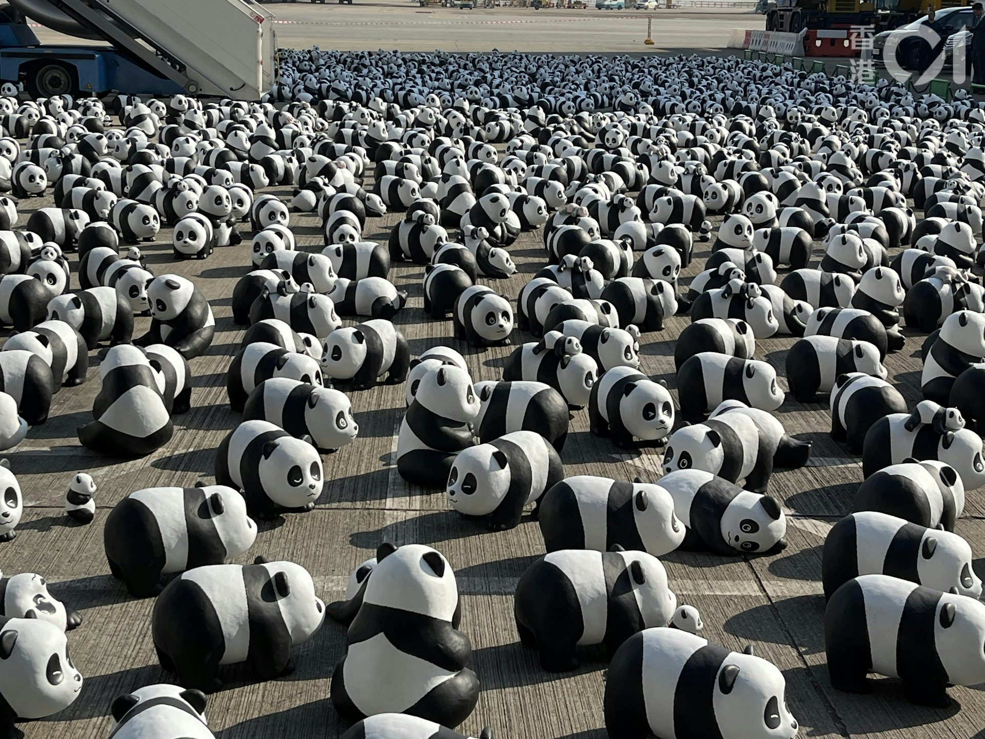 2500只熊猫雕塑将于香港展出- 8world