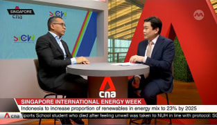 Adaro developing more than 1.5GW of solar panels and batteries: CEO