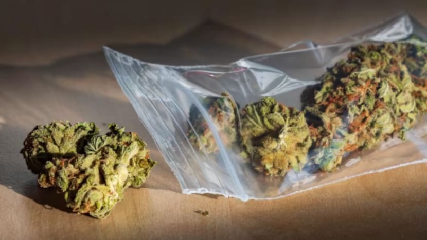 NSF dipenjara, disebat kerana edar dadah; jual ganja secara sampingan NSF dipenjara, disebat kerana edar dadah; jual ganja secara sampingan