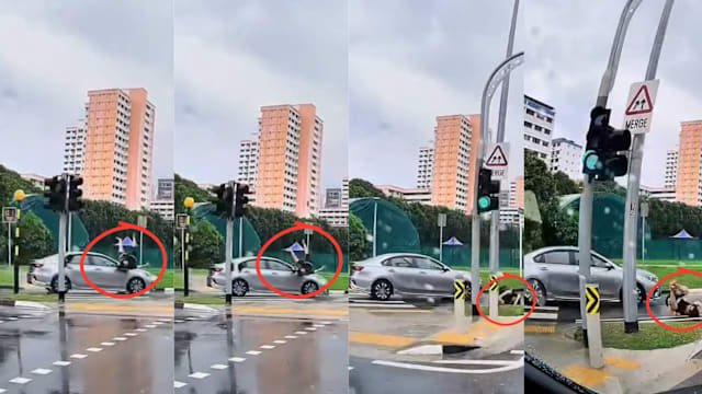 后港脚踏车骑士斑马线被撞飞 重跌马路被送院治疗