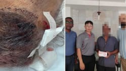 Related article image