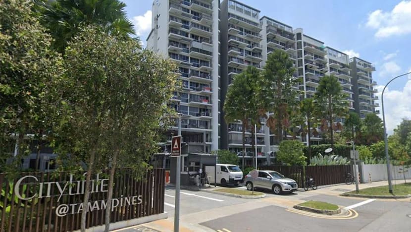Condominium neighbours in court over woman's alleged splashing of water, bouncing of basketball