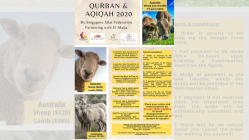 Related article image