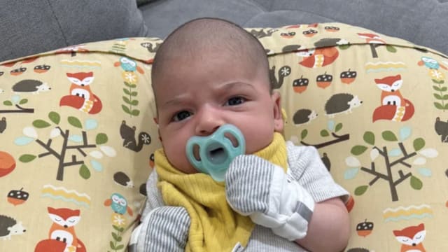 养了八年的宠物狗 咬死六周大婴儿