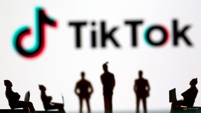 TikTok battles US ban threat in court TikTok battles US ban threat in court