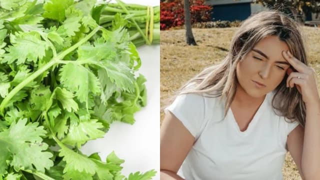 蔬菜也能抗失智　排毒护脑它最强！