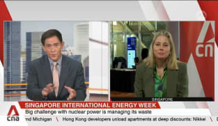 Global nuclear capacity must triple to meet climate goals: World Nuclear Association