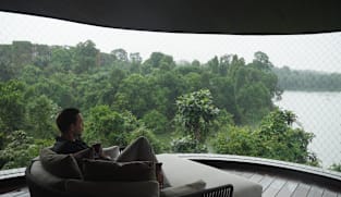 Wild Singapore in One Speedrun