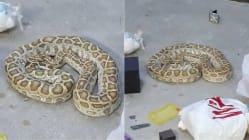 Related article image