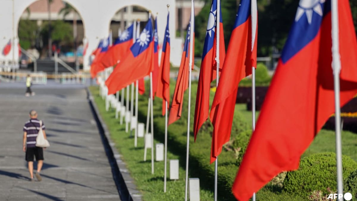 Taiwan pursues homegrown Chinese spies as Beijing's influence grows