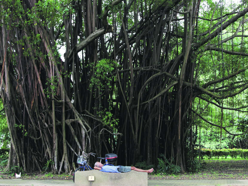 Car-free residential area to be piloted in Kampong Bugis