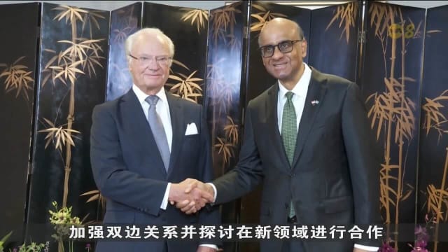 瑞典国王卡尔十六世首次到访我国同领导人会面