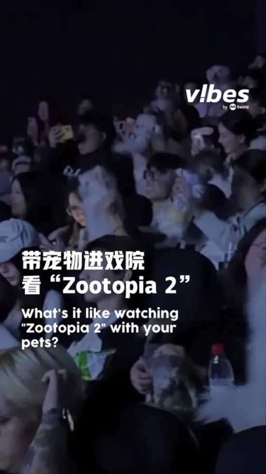 20251204_ent_Zootopia2-pets_vod_01