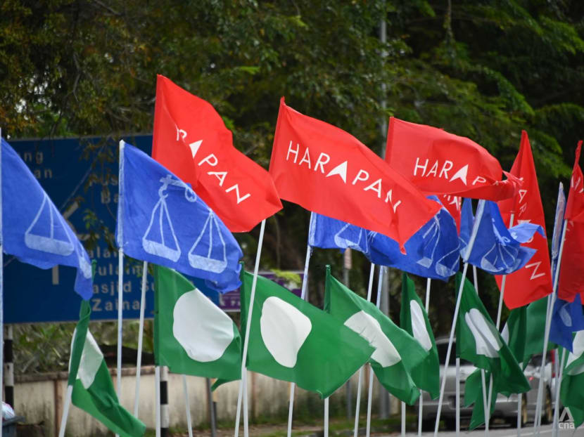 Courting the Malay vote: Race-based politics still centrestage in Malaysian politics