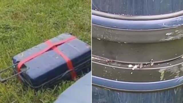 散发恶臭 爬满蛆虫 马国路边沟渠惊现藏尸行李箱