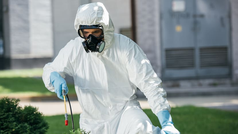 பூச்சிக் கட்டுப்பாட்டு நிறுவனங்களுக்குப் புதிய நடைமுறைக் கோட்பாடுகள்