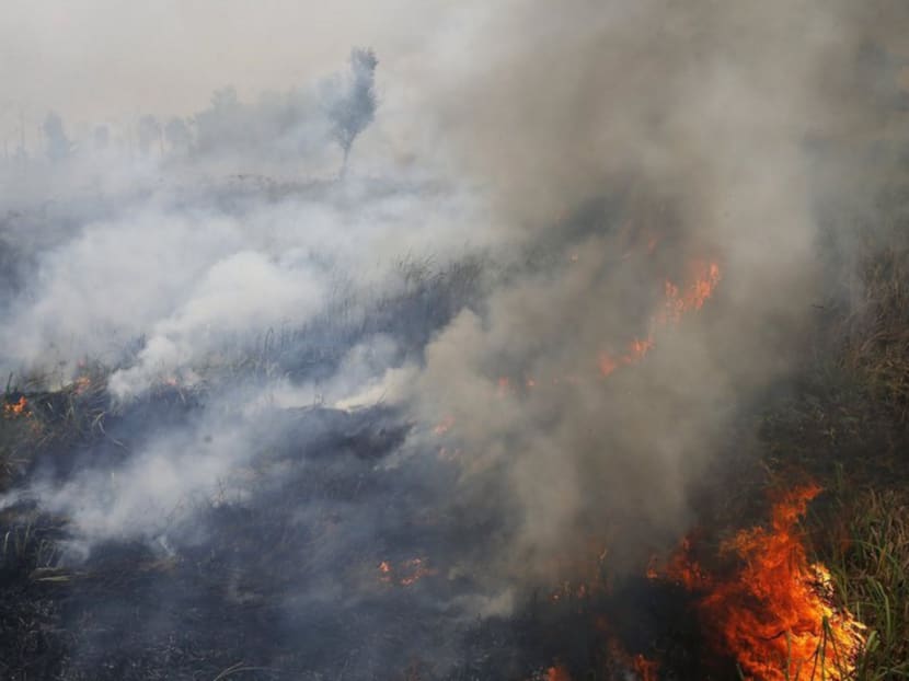 Smoke rises as a fire burns a forest as seen at North Indralya village in Ogan Ilir Regency, Indonesia's south Sumatra province September 13, 2015. Photo: Reuters Smoke rises as a fire burns a forest as seen at North Indralya village in Ogan Ilir Regency, Indonesia's south Sumatra province September 13, 2015. Photo: Reuters