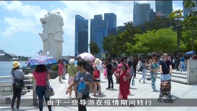 边境防疫措施解除带动入境旅游 旅行社：旅客询问量增加约50%