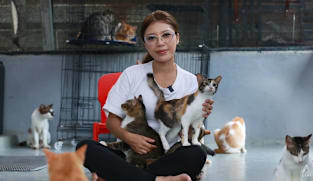 This Singapore marriage counsellor is selling her car to help fund a quest to save JB's street cats