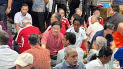 Related article image