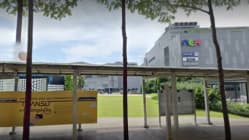 Related article image