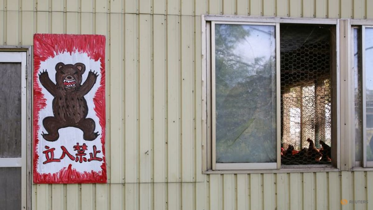 Japanese region asks army to cull bears as attacks spike