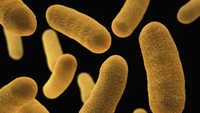 Saintis China cipta pembalut lawan bakteria 'superbug'