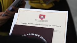 Related article image