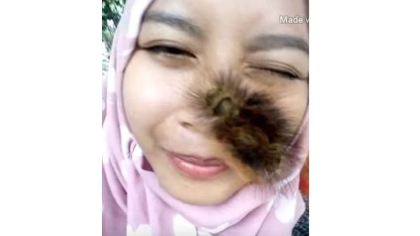Hobi gadis ini bermain dengan ulat bulu, lipan