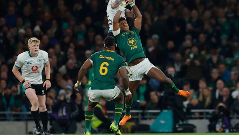 South Africa overpower ill-disciplined Ireland 24-13