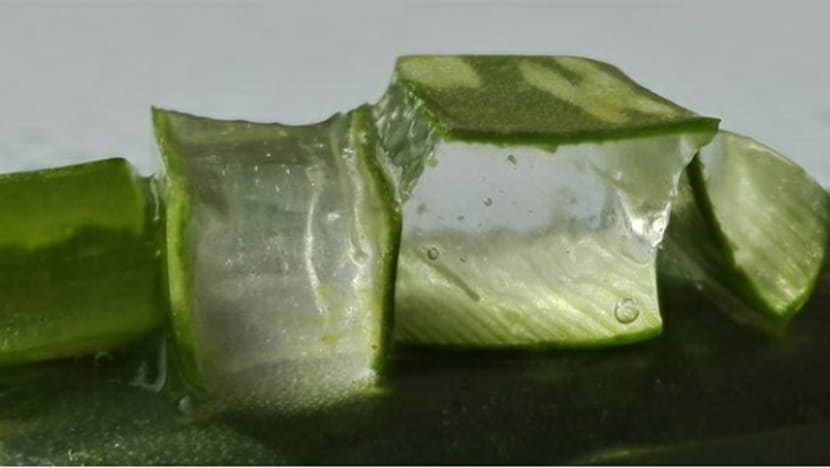 Related article image