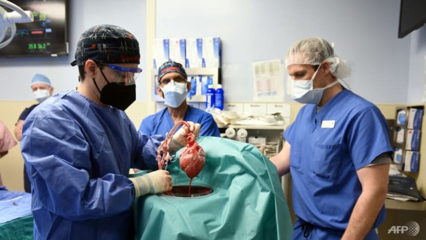Commentary: How do we justify using animals as organ donors for humans? Commentary: How do we justify using animals as organ donors for humans?