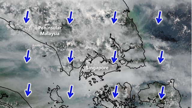 环境局：我国和周边地区 下来几天将降雨