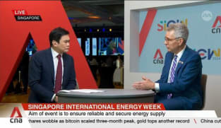 Asia’s future energy decisions will have ‘material’ impact on world’s climate goals: US official