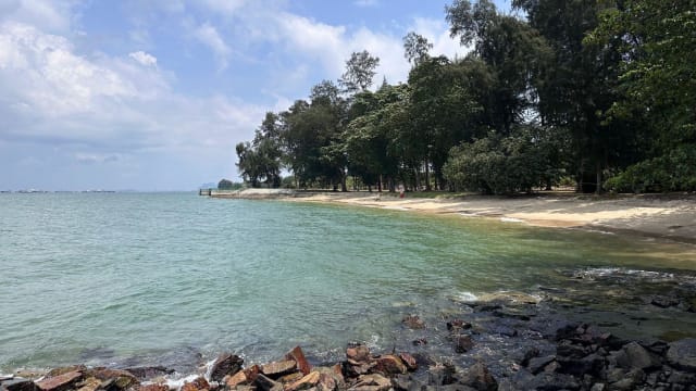 东海岸公园部分海滩水质恢复 游泳和水上活动可安全进行