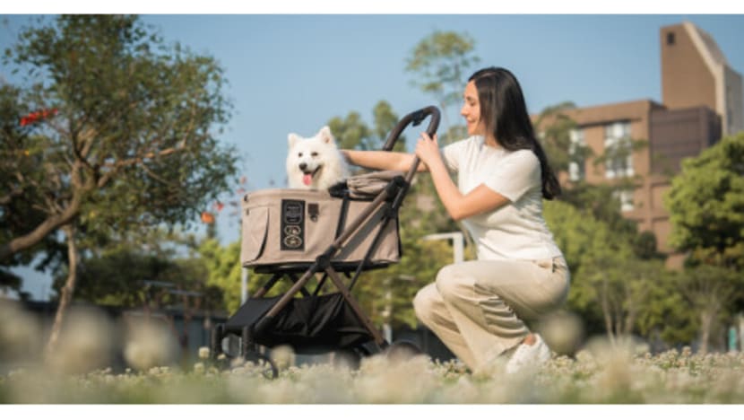 FikaGO Debuts in SoHo, Blending Pet Stroller with Modern Lifestyle Design
