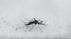 Related article image
