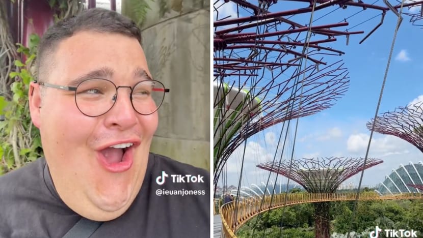 #trending: 'I could cry' — UK tourist gushes over visit to Gardens by the Bay, charms S'poreans with his enthusiasm