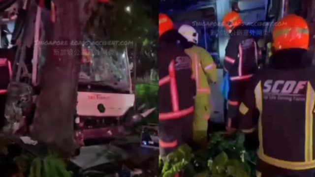 凌晨下班回车厂 新捷运巴士车长巴士失控撞树身亡