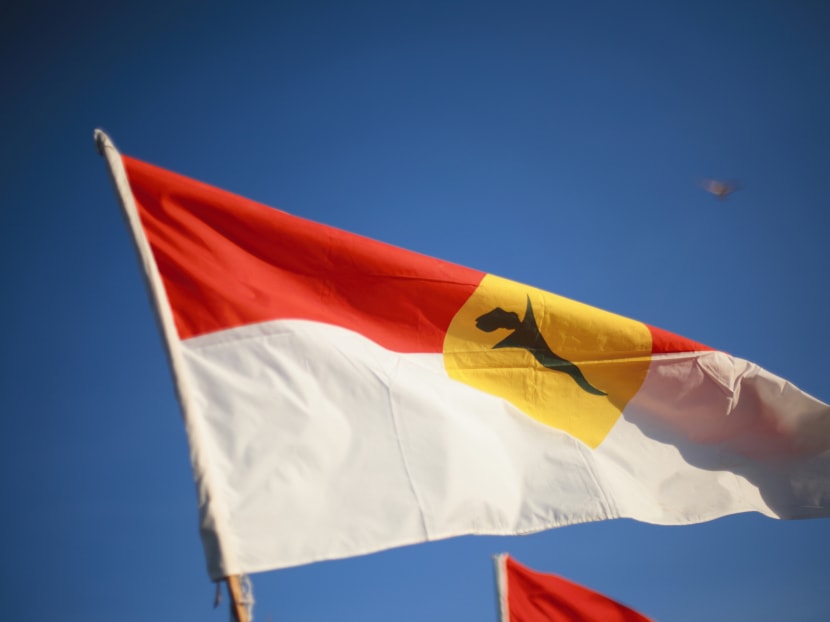 A United Malays National Organisation (UMNO) party flag flutters at Batu Buruk Beach in Kuala Terengganu. As funding dries up, Umno cybertroopers have either fade away or switch sides.
