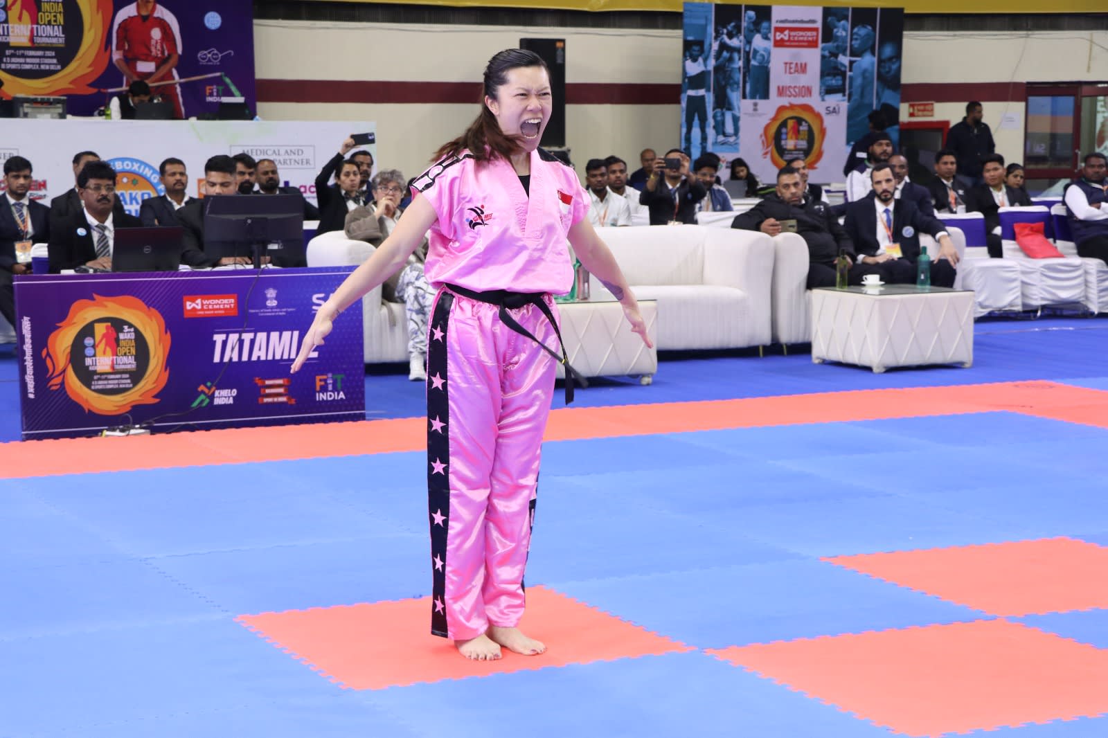 印度国际自由搏击公开赛：我国两选手摘下四金二银三铜- 8world