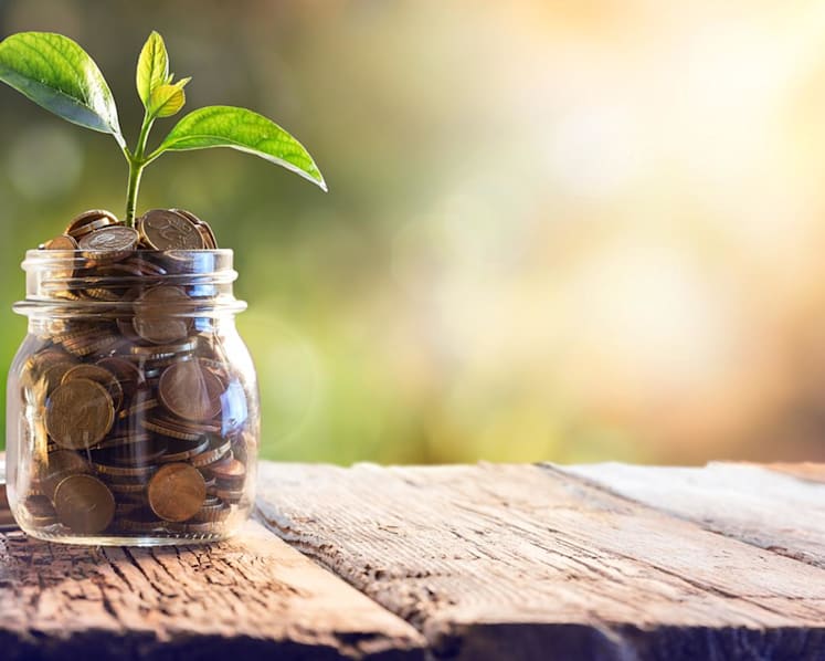 Moomoo Singapore’s robust growth underpins the importance of wealth management in attaining financial freedom